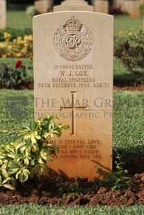 BEIRUT WAR CEMETERY - COX, WILLIAM JOHN